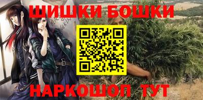a pvp Сланцы
