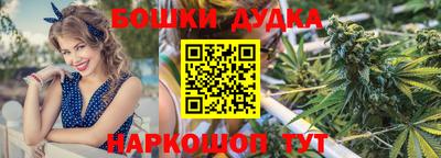 a pvp Сланцы